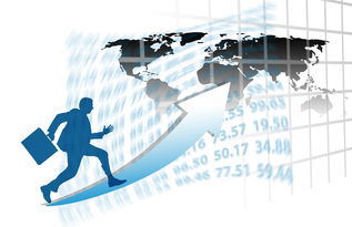 LEYU SPORTS中国官方网站-中国篮球职业联赛赛事运营管理优化研究，中国篮球竞赛体系