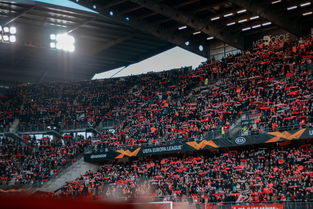 乐鱼电竞-德甲球场基础设施升级对观众满意度影响,德甲球场标准 第2张 乐鱼电竞-德甲球场基础设施升级对观众满意度影响,德甲球场标准 第2张