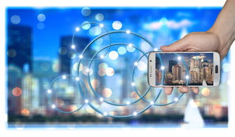 leyu.com-篮球比赛策略智能辅助系统开发与研究，篮球比赛管理系统