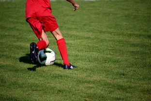 乐鱼娱乐app-国脚待遇结构调整引导更多球员留在国内发展,国家队国脚