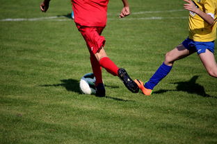 APP下载 LY Sports-中国足球国家队对抗强队经验提升路径，中国足球国家队对抗强队经验提升路径分析